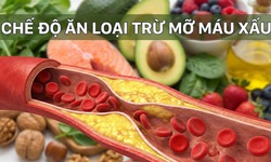 Chế độ ăn loại bỏ ‘mỡ m&#225;u xấu’ bảo vệ th&#224;nh mạch, ngừa đột quỵ