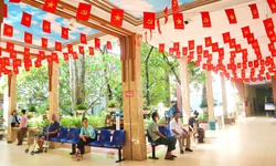 Xanh h&#243;a bệnh viện, hướng tới sự h&#224;i l&#242;ng của người bệnh