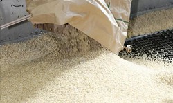 Nhu cầu gạo từ thị trường châu Á giảm, doanh nghiệp tích cực chuyển hướng thị trường