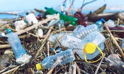 Giảm r&#225;c thải nhựa để bảo vệ sức khỏe cộng đồng