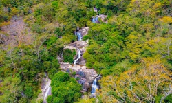 Mở rộng Khu dự trữ sinh quyển Núi Chúa: Kết nối rừng, biển và sinh kế cộng đồng