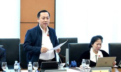 ĐBQH kiến nghị đ&#225;nh thuế chuyển nhượng v&#224;ng miếng theo lợi nhuận