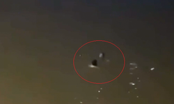 Người đ&#224;n &#244;ng &#39;v&#244; danh&#39; lao xuống d&#242;ng nước xiết cứu phụ nữ nhảy cầu