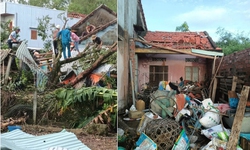 Đ&#224; Nẵng: 77 ng&#244;i nh&#224; bị tốc m&#225;i, c&#226;y xanh g&#227;y đổ do b&#227;o số 13