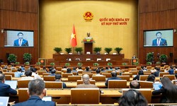 Phát triển bệnh viện chuyên sâu tại các tỉnh, thành phố khi điều chỉnh Quy hoạch tổng thể quốc gia