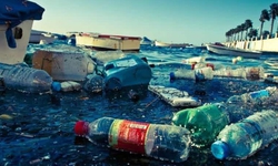 C&#244;ng nghệ m&#244; phỏng h&#224;nh tr&#236;nh r&#225;c thải nhựa đại dương