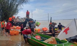Hội Chữ thập đỏ Việt Nam ph&#226;n bổ hơn 4,8 tỷ đồng cứu trợ khẩn cấp 6 tỉnh bị thiệt hại do mưa lũ