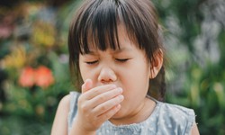 Chuy&#234;n gia cảnh b&#225;o mối nguy hại từ vi khuẩn thời điểm giao m&#249;a