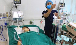 Hai người h&#244;n m&#234; nghi ngộ độc do uống rượu v&#224; ăn l&#225; rừng 