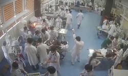 T&#236;m người th&#226;n của 7 nạn nh&#226;n gặp nạn tr&#234;n cao tốc