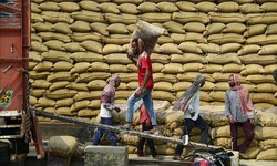 Cầu yếu, cung tăng g&#226;y sức &#233;p l&#234;n gi&#225; gạo xuất khẩu của c&#225;c nước ch&#226;u &#193;