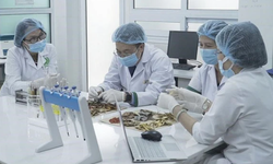 Y dược cổ truyền Việt Nam vươn tầm Thế giới: Từ di sản văn hóa đến giá trị khoa học toàn cầu