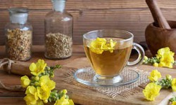 10 lợi ích của trà hoa mõm sói