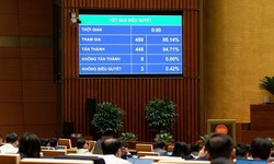 Đại đa số ĐBQH bấm n&#250;t t&#225;n th&#224;nh th&#244;ng qua Luật D&#226;n số