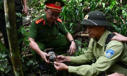 Gỡ bỏ nhiều bẫy động vật hoang dã ở Bán đảo Sơn Trà