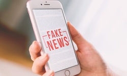 Thông tin cá sấu 'khổng lồ' nổi trên kênh xáng Nàng Mau là bịa đặt