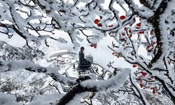 Miền Bắc khả năng c&#243; băng gi&#225; khi đ&#243;n đợt kh&#244;ng kh&#237; lạnh mạnh