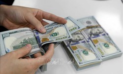 Tỷ giá hôm nay 15/12: Đồng USD và NDT cùng giảm giá