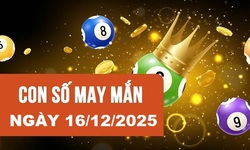 Con số may mắn hôm nay 16/12 - số cát lành - số tài lộc 12 con giáp