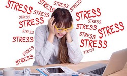 4 chất đến từ thảo dược giúp giảm căng thẳng cho não bộ