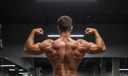 Ăn cơm hay ăn thịt giúp tăng cường cơ bắp tốt hơn?