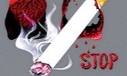 Cơ chế tài chính bền vững, điều kiện tiên quyết để bảo vệ thành quả 10 năm phòng, chống tác hại thuốc lá