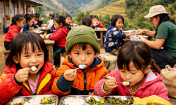 Quảng Ngãi rà soát các tổ chức, dự án thiện nguyện liên quan đến dự án 'Nuôi em'