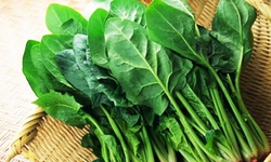 Gan nhiễm mỡ: 5 thực phẩm gi&#250;p bổ gan, giải độc tự nhi&#234;n