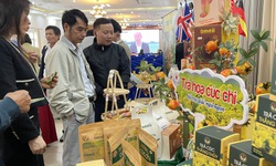 Hải Phòng tạo cầu nối tiêu thụ nông sản vùng Đồng bằng sông Hồng cho thị trường Tết