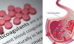 3 lý do cần thận trọng khi uống vitamin C cùng thuốc chống đông máu