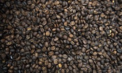 Thị trường nông sản: Lý do giá cà phê trên thế giới tăng vọt