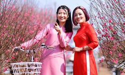 Chốt phương án nghỉ Tết Dương lịch 2026 kéo dài 4 ngày