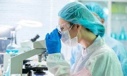 Thu nhập ngành Y tế – Dược nhìn từ dữ liệu thị trường lao động năm 2025