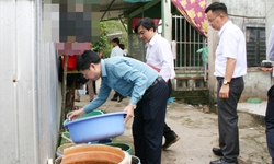 Bộ Y tế kiểm tra công tác phòng, chống sốt xuất huyết tại An Giang, Cà Mau