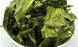 3 bài thuốc từ lá dâu tốt cho người bệnh tiểu đường