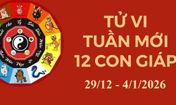 Tử vi tuần mới 12 con giáp từ 29/12 - 4/1: Dậu sụt giảm tài lộc, Mùi công danh tăng tiến