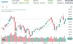 Xu hướng chứng khoán 30/12 tiếp tục mua mạnh cổ phiếu