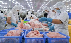 Xuất khẩu cá tra dự báo đạt gần 2,2 tỷ USD