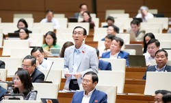 Đề xuất miễn, giảm, ho&#224;n thuế cho DN, hộ kinh doanh v&#249;ng bị b&#227;o lũ