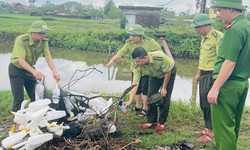 Nghệ An đồng loạt truy qu&#233;t, chặn đứng nạn tận diệt chim hoang d&#227;