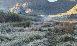 Sương m&#249; phủ trắng quốc lộ, băng gi&#225; xuất hiện ở v&#249;ng bi&#234;n Nghệ An