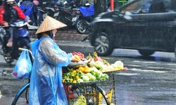 Kh&#244;ng kh&#237; lạnh đang bao phủ miền Bắc g&#226;y mưa r&#233;t diện rộng