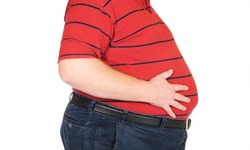 Những tác hại lâu dài của đồ ăn nhanh đối với sức khỏe