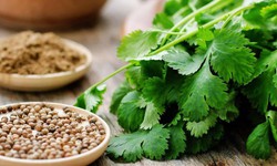 5 loại thực phẩm giúp thận lọc độc tố hiệu quả