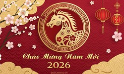 Những lời chúc năm mới 2026 hay nhất tặng người thân