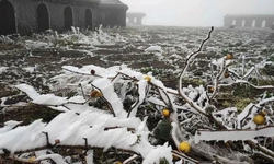 15 tỉnh, thành phố khu vực Bắc Bộ chủ động ứng phó với rét đậm, rét hại