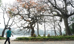 Nguyên nhân nền nhiệt mùa đông 2025 cao hơn trung bình nhiều năm