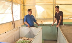 Thanh niên ở Lâm Đồng 'đổi hướng' làm kinh tế nông thôn với nghề 'độc, lạ'