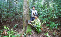 Lắp đặt hơn 60 bẫy ảnh gi&#225;m s&#225;t động vật qu&#253; hiếm ở Khu bảo tồn thi&#234;n nhi&#234;n P&#249; Huống