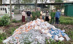 Ti&#234;u hủy lượng lớn thuốc chữa bệnh kh&#244;ng r&#245; xuất xứ